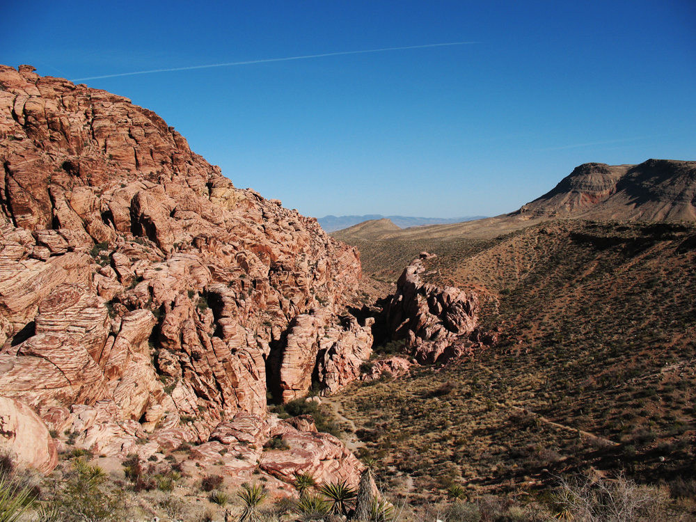 Desert Paths