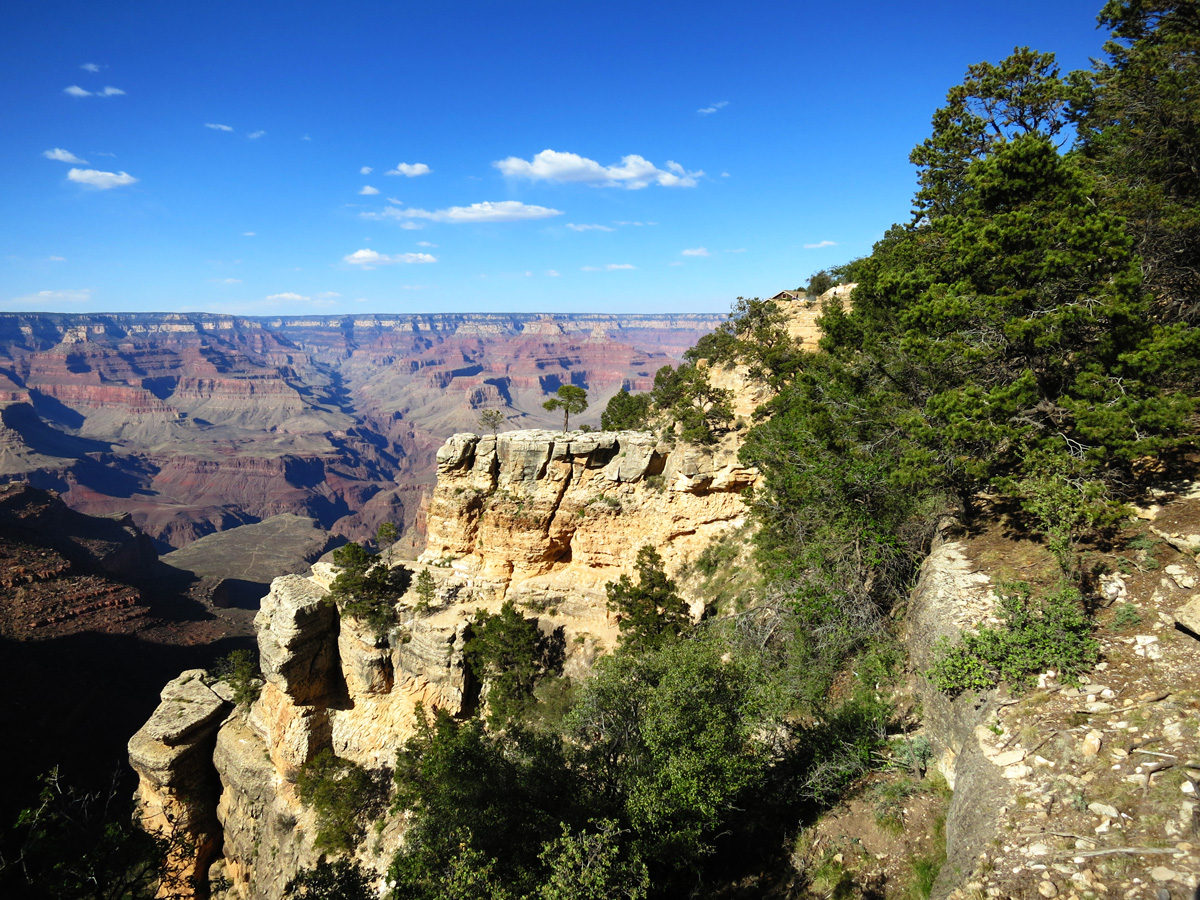 Tiny House on Canyon's Edge