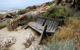 Lonely Bench