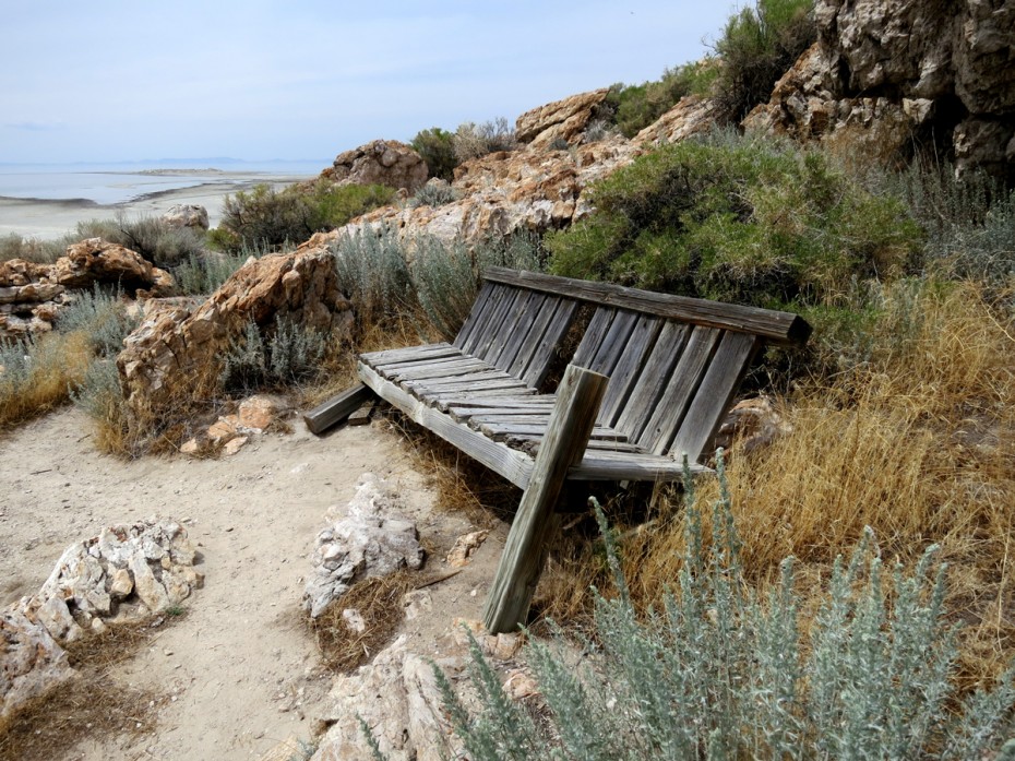 Lonely Bench