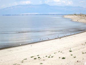 Salt Lake Shoreline