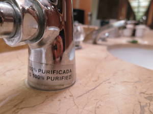 Purified Water