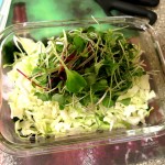 Seaweed Salad-Add MicroGreens