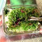 Seaweed Salad - Scissor MicroGreens