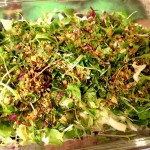 Seaweed Salad - Spices on Top