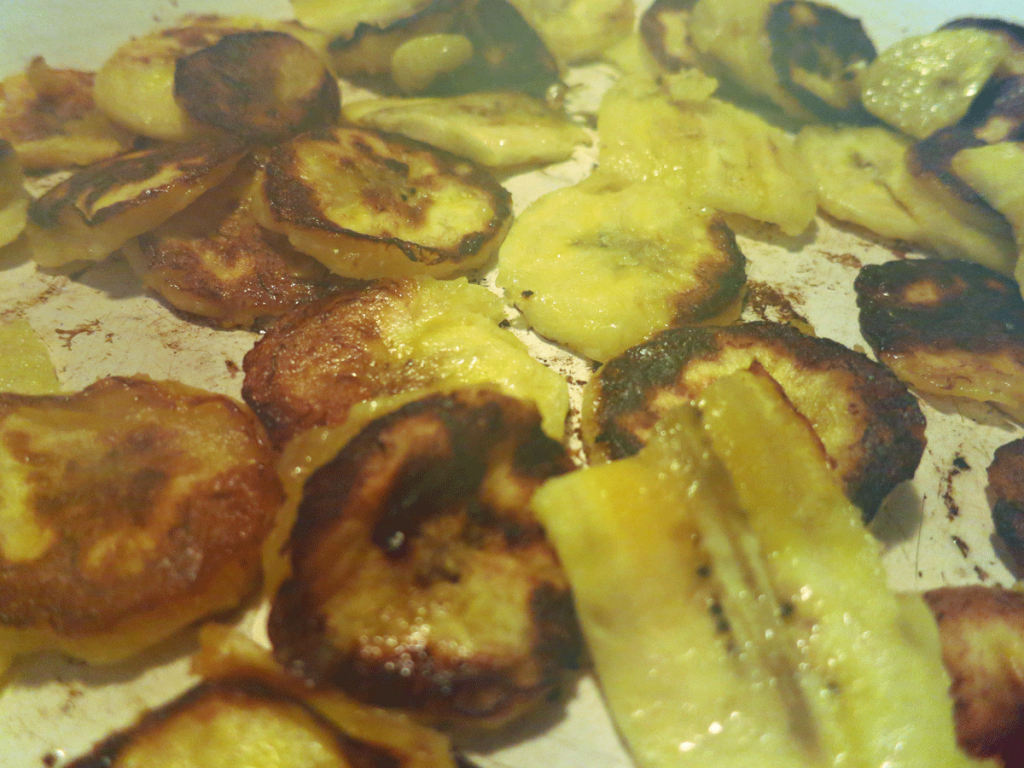 Browned Plantain Slices Again