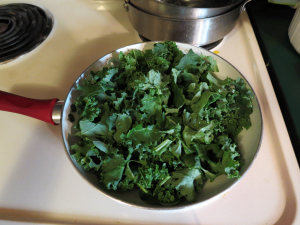 Rinsed Kale