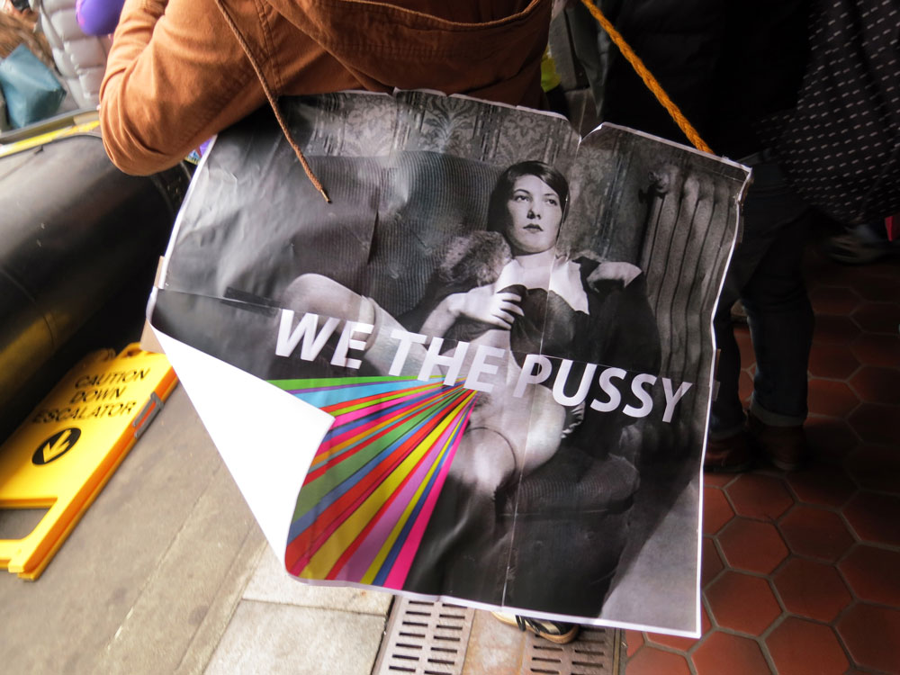 We the Pussy - 2017 Women's March on Washington