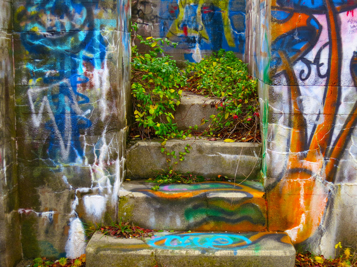 Plants Invade Cement Stairwell