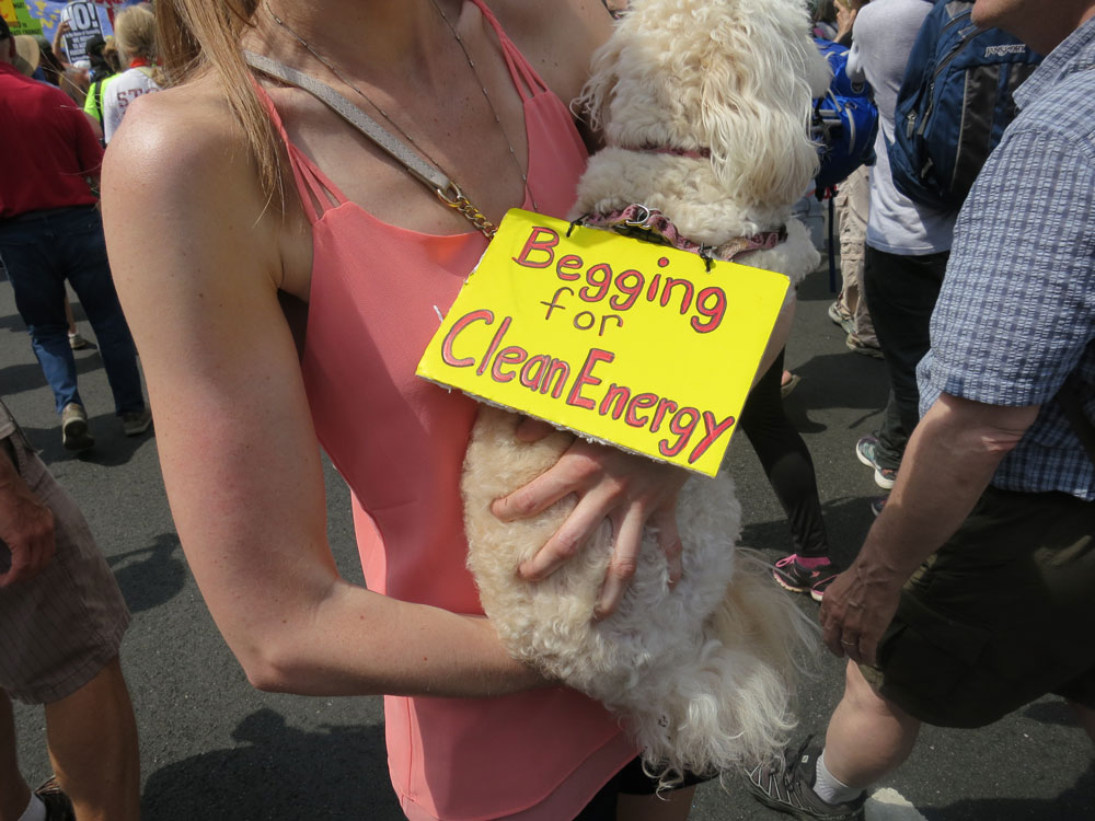 Cute Pooch with a Green Energy Message