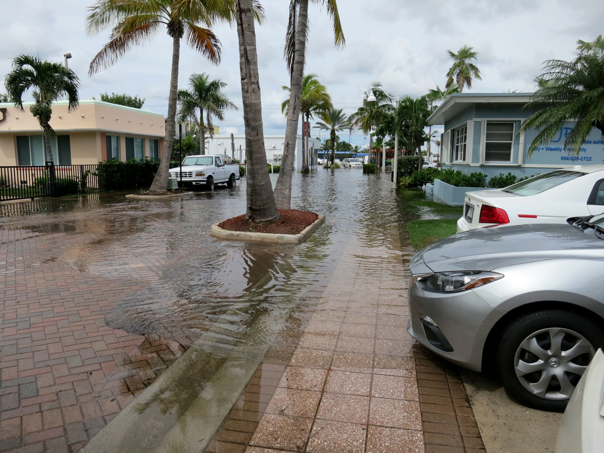 Tidal Flooding on Taylor Street, Hollywood, FL USA