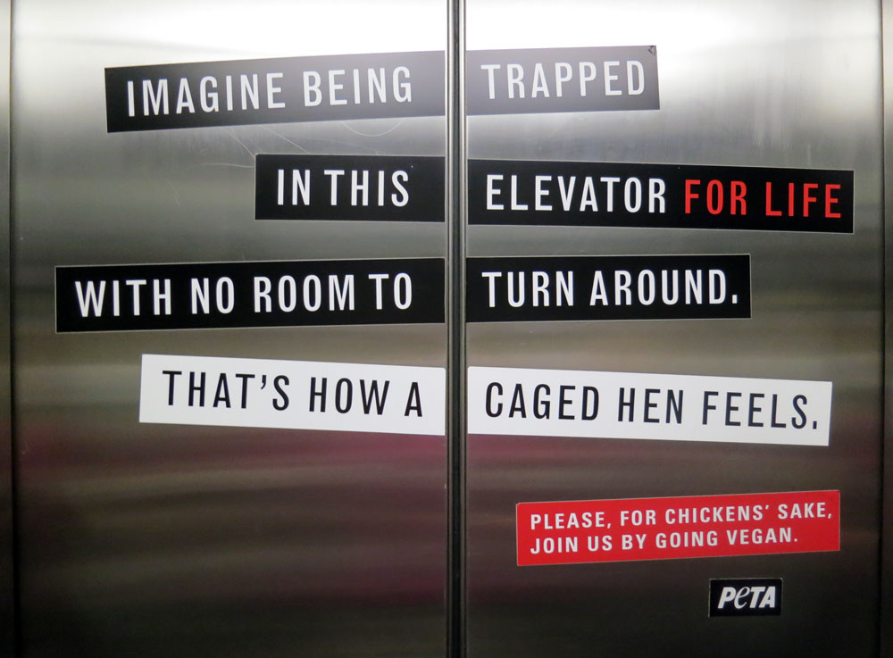PETA Elevator Exterior