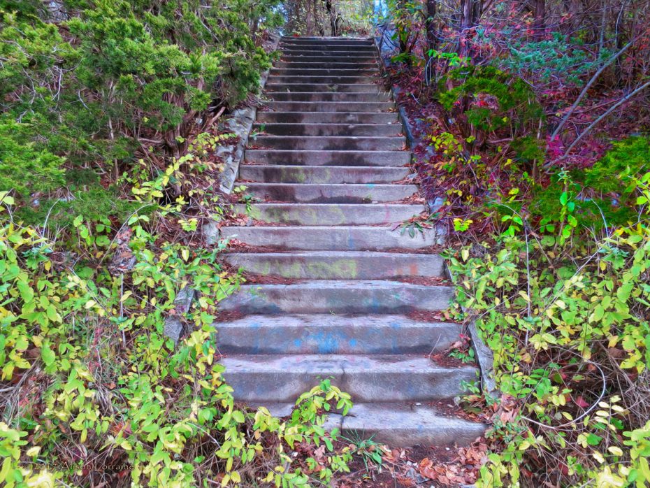 Woods & Stairs