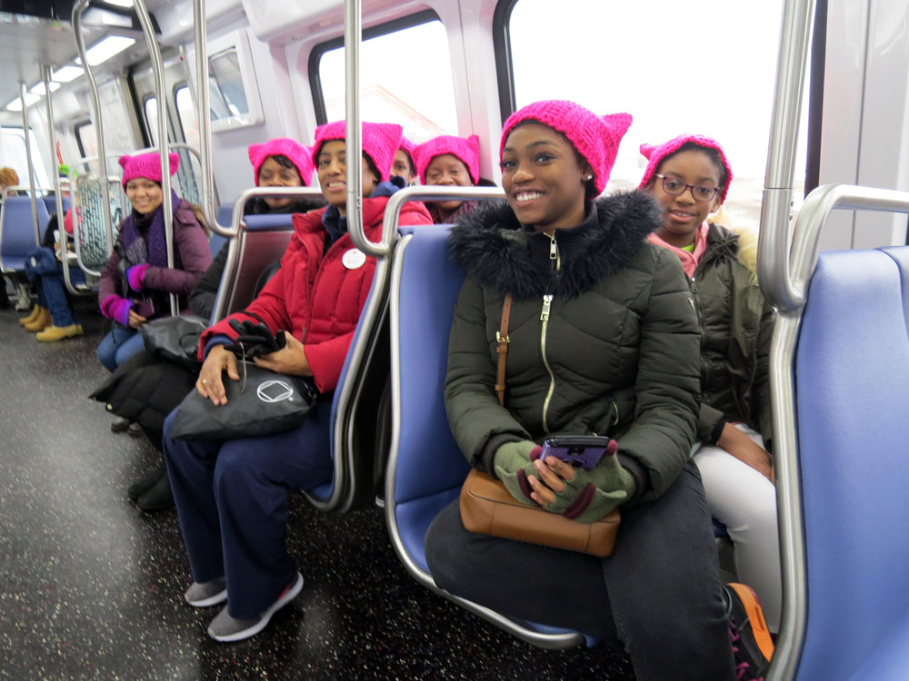 2019 DC Women's March - Ladies of the Metro